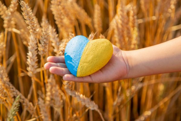 Kind hält einen mit den Farben der ukrainischen Flagge bemalten Stein